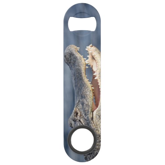 アリゲーターフロリダエバーグレーズ野生生物おもしろい写真 スピード栓抜き (正面)