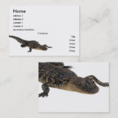 アリゲータープロファイルカード 名刺 (正面/裏面)