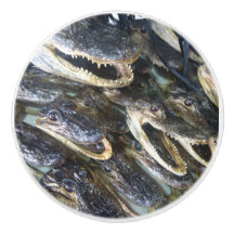 アリゲーターヘッド