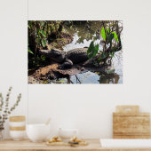 アリゲーターポスター ポスター (キッチン)