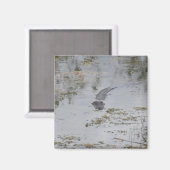 アリゲーターマグネット マグネット (正面/裏面)