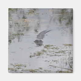 アリゲーターマグネット マグネット