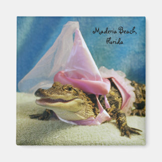 アリゲーターマグネット マグネット