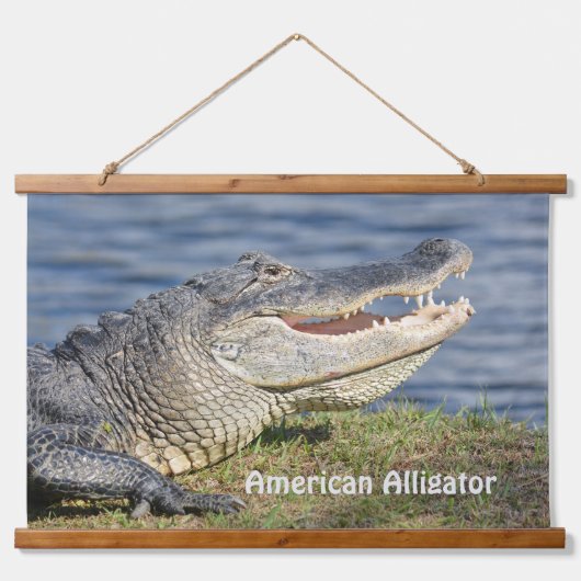 アリゲーターワイルドライフ自然クローズアップ写真 吊り下げ型タペストリー (正面)