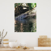 アリゲーター写真 ポスター (キッチン)