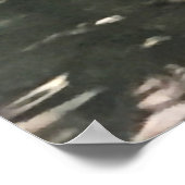 アリゲーター写真 ポスター (角)