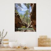 アリゲーター峡谷（南オーストラリア） ポスター (キッチン)