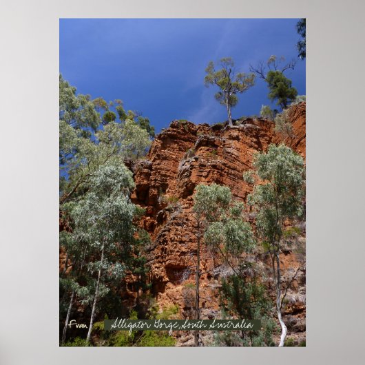 アリゲーター渓谷の赤いパイリング岩 ポスター (正面)