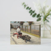 アリゲーター ゴーカート ポストカード (スタンド正面)