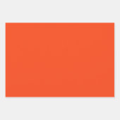 アリゲーター – ゴーゲーター ラッピングペーパーシート (正面2)