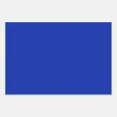 アリゲーター – ゴーゲーター ラッピングペーパーシート (正面2)