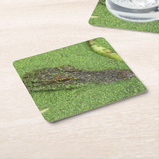 アリゲーター スクエアペーパーコースター (アングル)