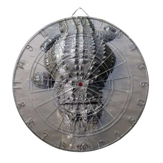 アリゲーター ダーツボード (正面)