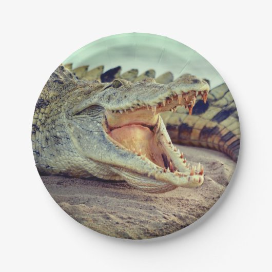 アリゲーター ペーパープレート (正面)