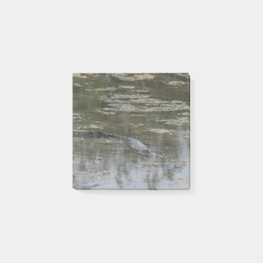 アリゲーター ポストイット ノート (正面)