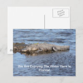 アリゲーター ポストカード (正面/裏面)