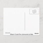 アリゲーター ポストカード (裏面)