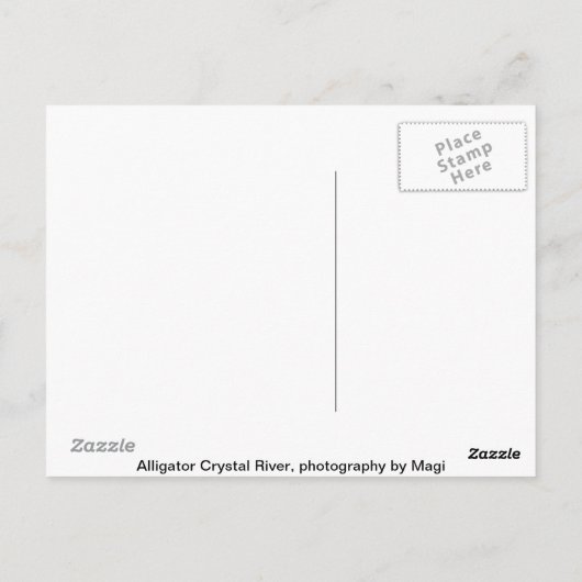 アリゲーター ポストカード (裏面)