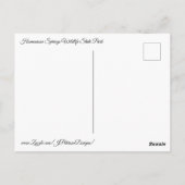 アリゲーター ポストカード (裏面)