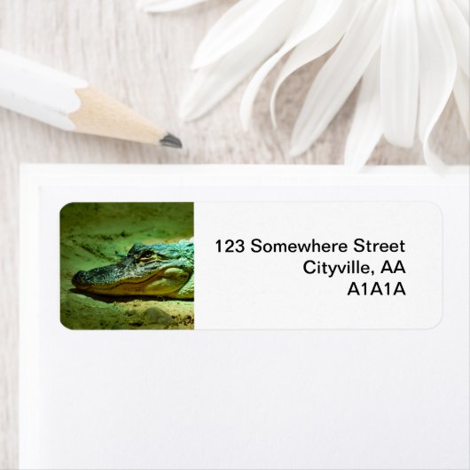 アリゲーター ラベル (インサイチュ)