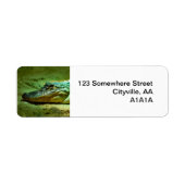 アリゲーター ラベル (正面)