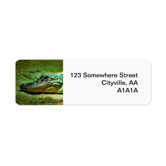 アリゲーター ラベル (正面)