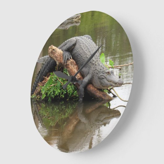 アリゲーター – 時間の反射 – 壁時計 (傾斜)