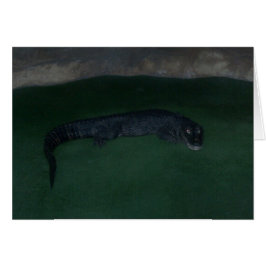 アリゲーター～暗闇の中に何が？