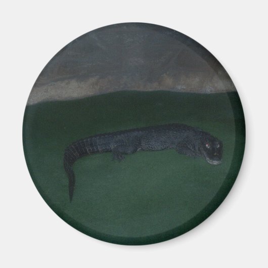 アリゲーター～暗闇の中に何が？ マグネット (正面)