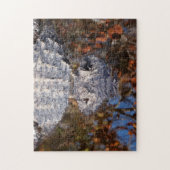 アリゲーター – 気を付けて！ ジグソーパズル (縦)