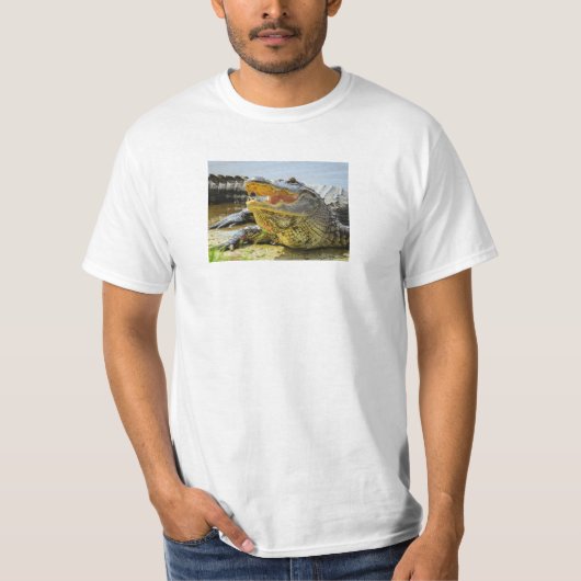 アリゲーター。顔から顔 Tシャツ (正面)
