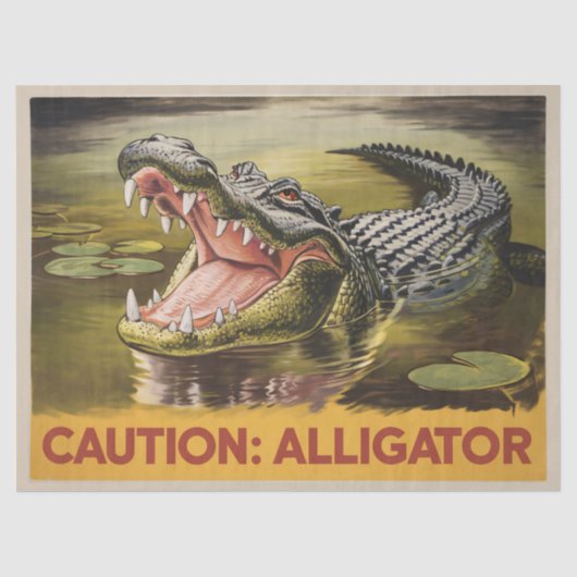 アリゲータ警告イラストレーションヴィンテージ分離 薄葉紙 (正面)