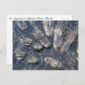 アリゲータ#5 ポストカード (正面/裏面)