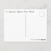 アリゲータ#5 ポストカード (裏面)