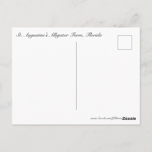 アリゲータ#5 ポストカード (裏面)