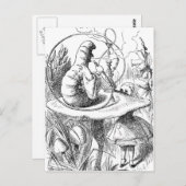 アリスいもむしを見上げる ポストカード (正面/裏面)