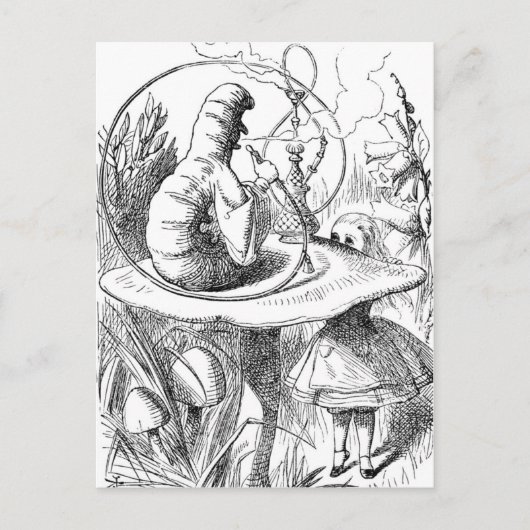 アリスいもむしを見上げる ポストカード (正面)