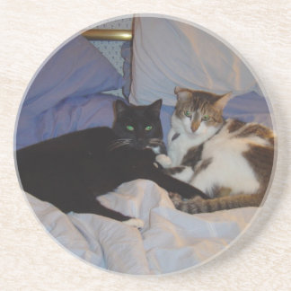 アリスおよびシドニー コースター