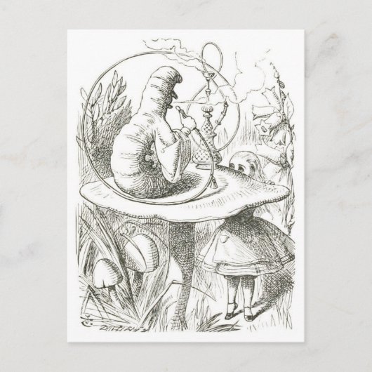 アリスとキャタピラヴィンテージイラストレーション ポストカード (正面)