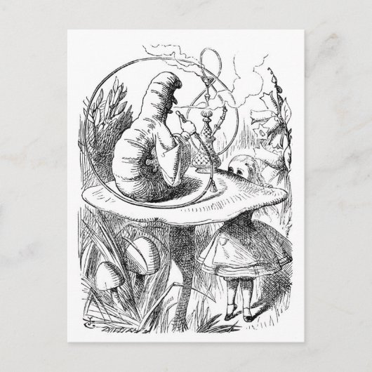 アリスと毛虫が出会う – 不思議の国のアリス ポストカード (正面)