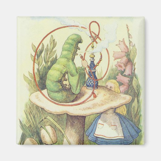 アリスは毛虫に出くわす マグネット (正面)