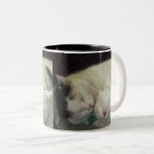 アリスアンドアビーマググ ツートーンマグカップ (正面右)