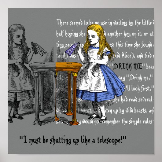アリスインワンダーランドプリント ポスター (正面)