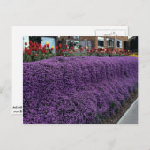 アリスサムのサクスタイルとチューリップを持つオーブリッタ銀行 ポストカード (正面/裏面)