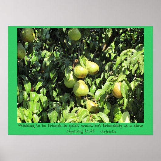 アリストテレスからの友情引用文 ポスター (正面)