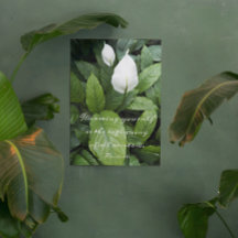 アリストテレス哲学的ウィズダム引用文ピースリリー