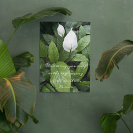 アリストテレス哲学的ウィズダム引用文ピースリリー メタルプリント