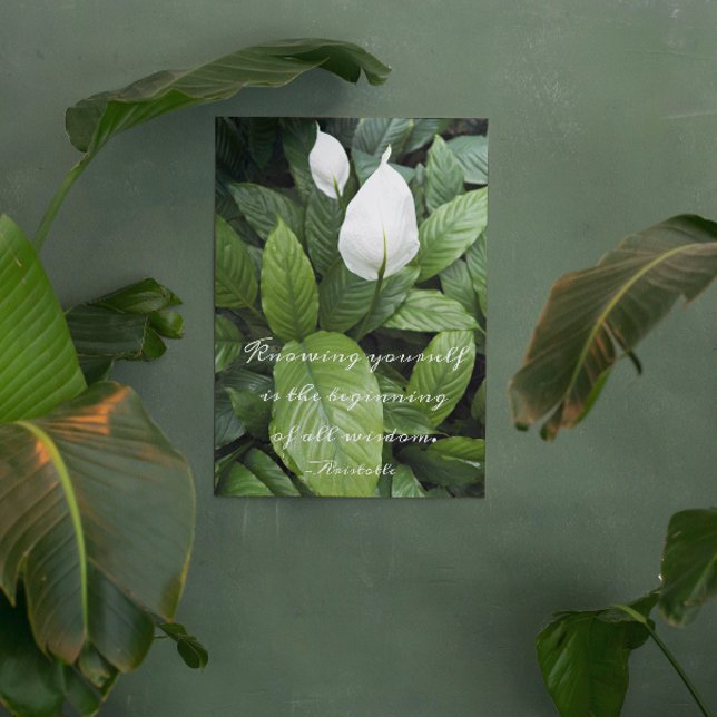 アリストテレス哲学的ウィズダム引用文ピースリリー メタルプリント (In Situ)