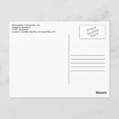 アリストテレス引用文 ポストカード (裏面)