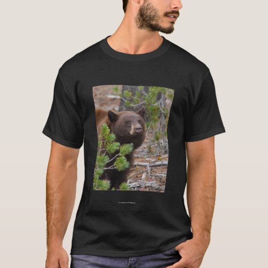アリストテレス Tシャツ (正面)